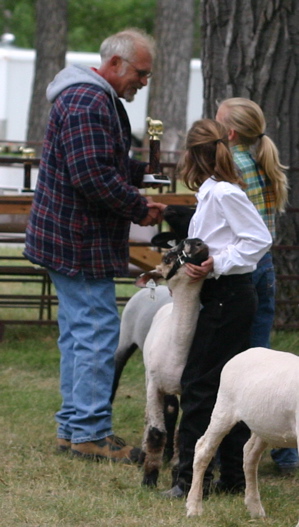 Horse Lover watches as another 4-Her wins overall champion black-face lamb. Patrick was the champion feeder black-face lamb.