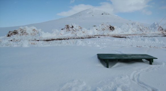 This is the scene outside my east door. I don’t think we’ll be using that picnic table for a few weeks anyway.