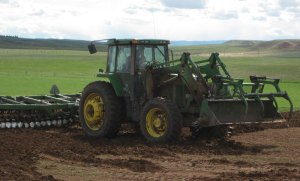 DiscingForShelterBelt