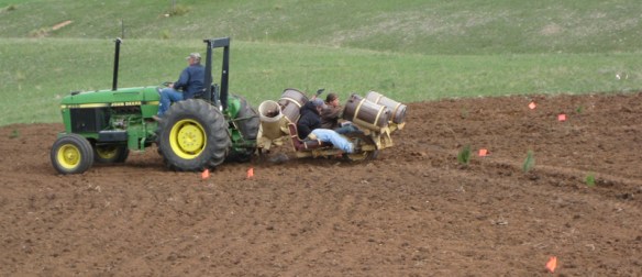 Conservation staff plants our trees while riding behind the small tractor.