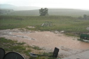 The gravel portion of our driveway was completely under water.