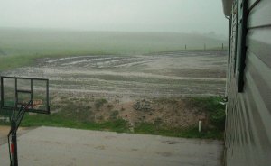 In the distance you can see our shelter belt and newly planted grass are soaked by the rain.